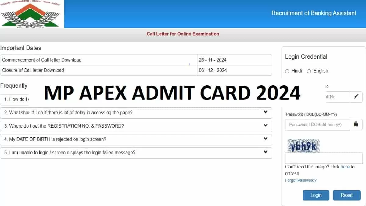 MP Apex Bank Admit Card 2024 OUT  at ibpsonline.ibps.in