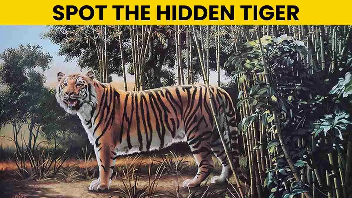 Spot the hidden tiger.