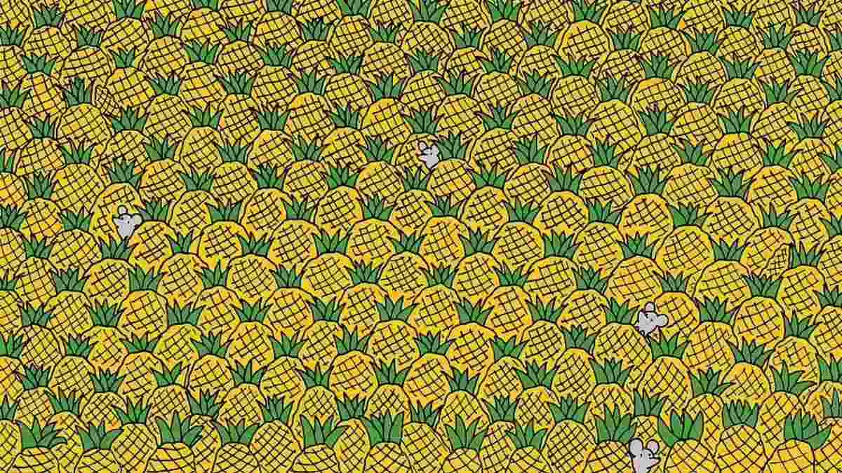 Spot four corns among pineapples.