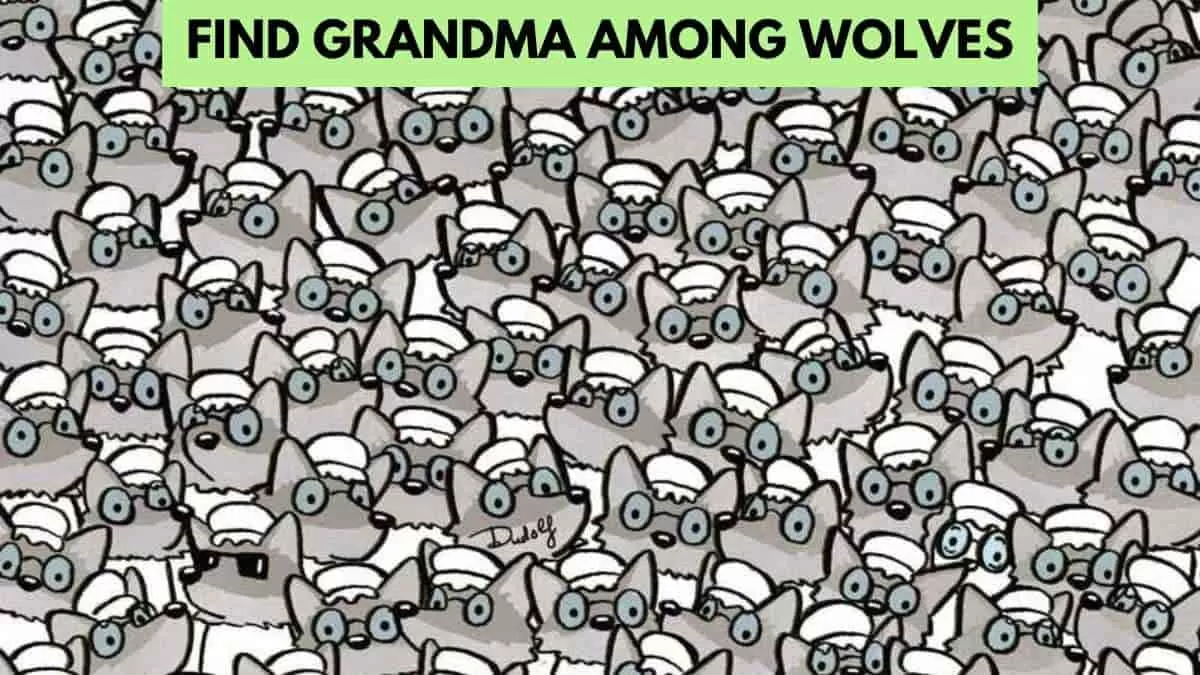 Find grandma