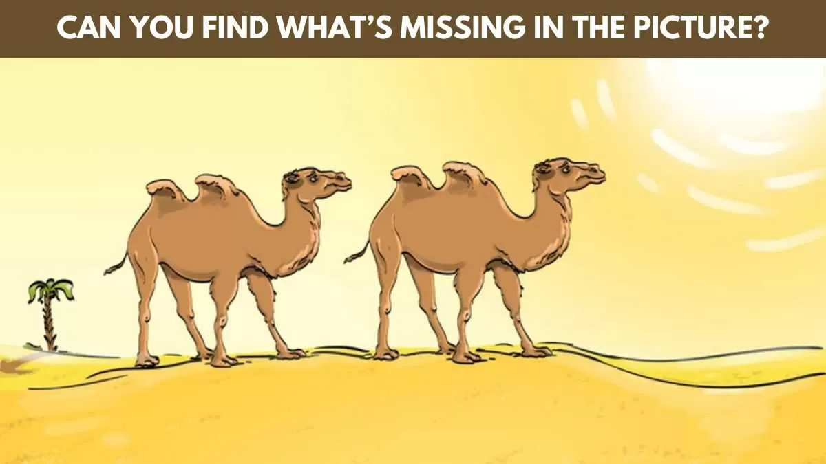 Can you find what's missing in the picture?