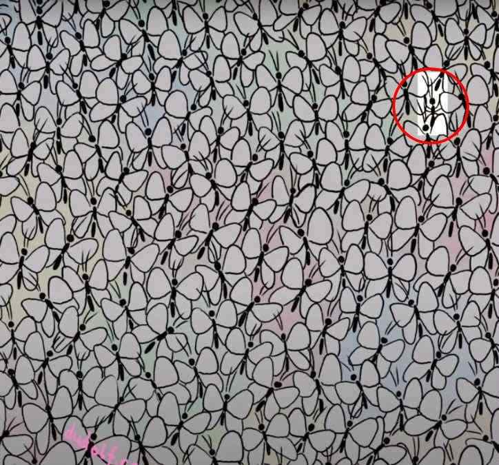 picture puzzles with answers