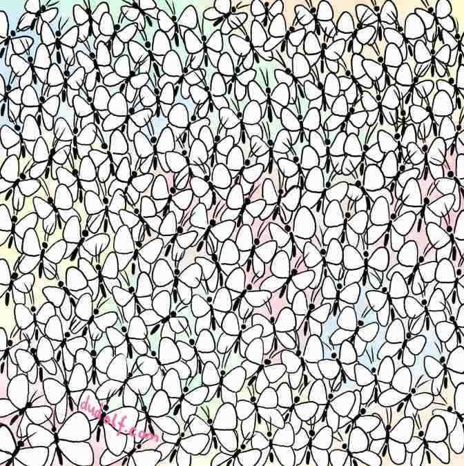 picture puzzles with answers