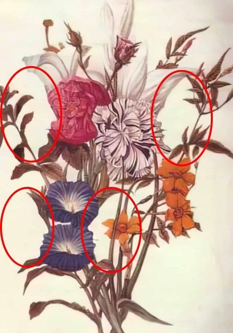 optical illusions with answers