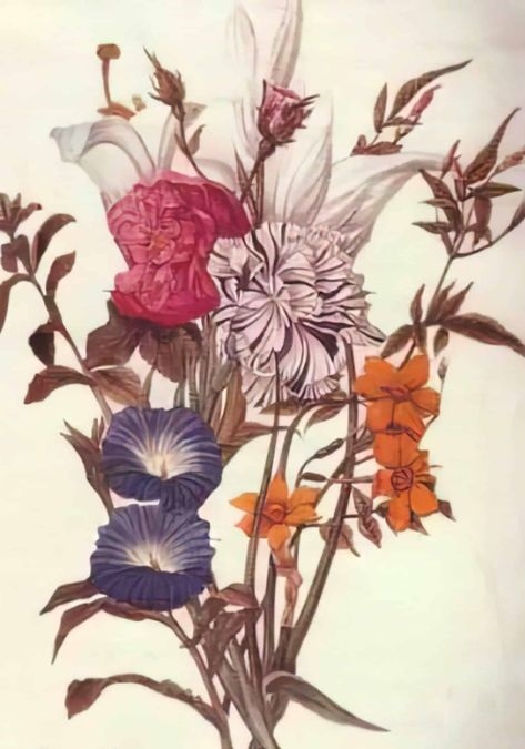 optical illusions with answers