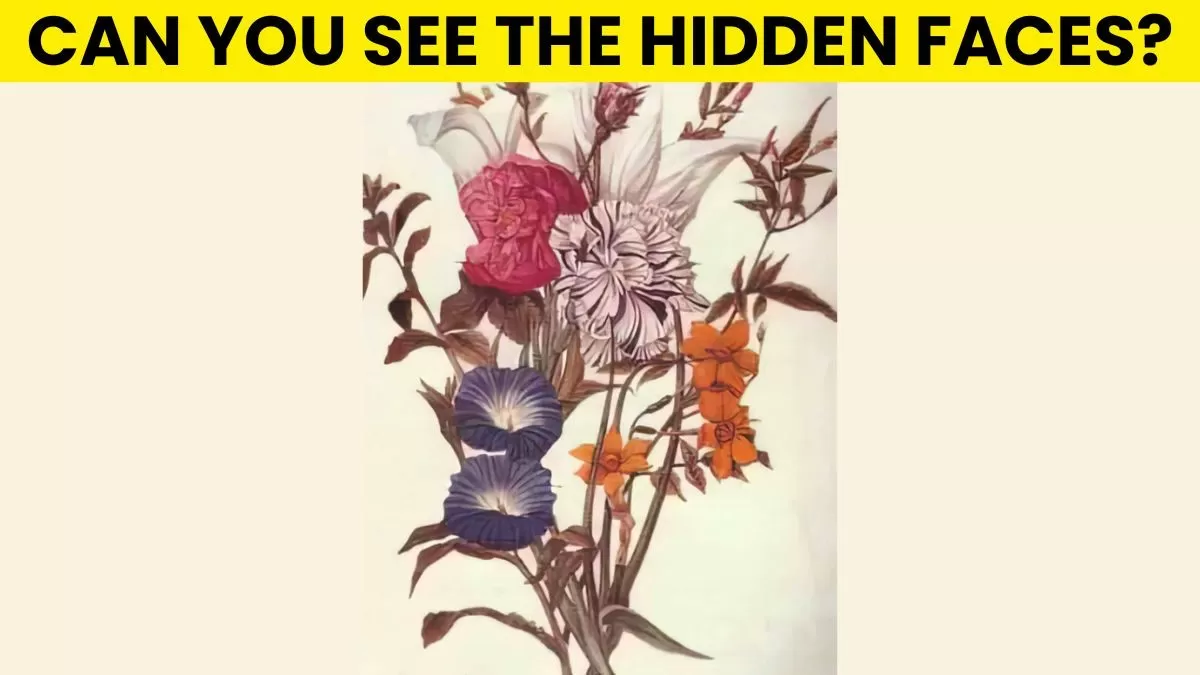 Spot four faces.