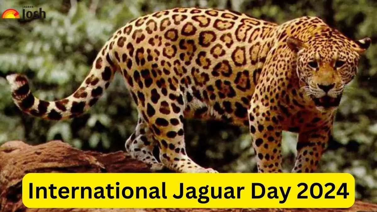 International Jaguar Day