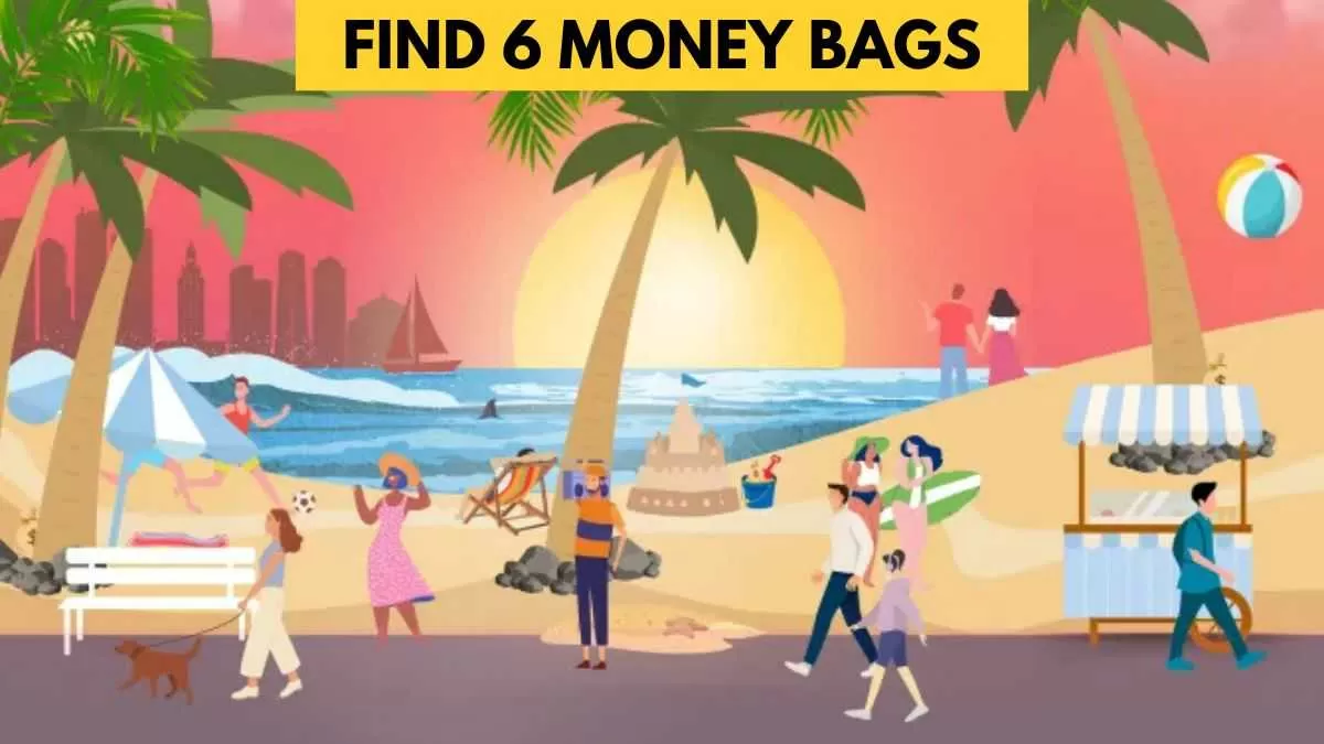 Find 6 money bags