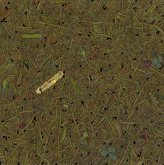 hidden picture puzzles with answers