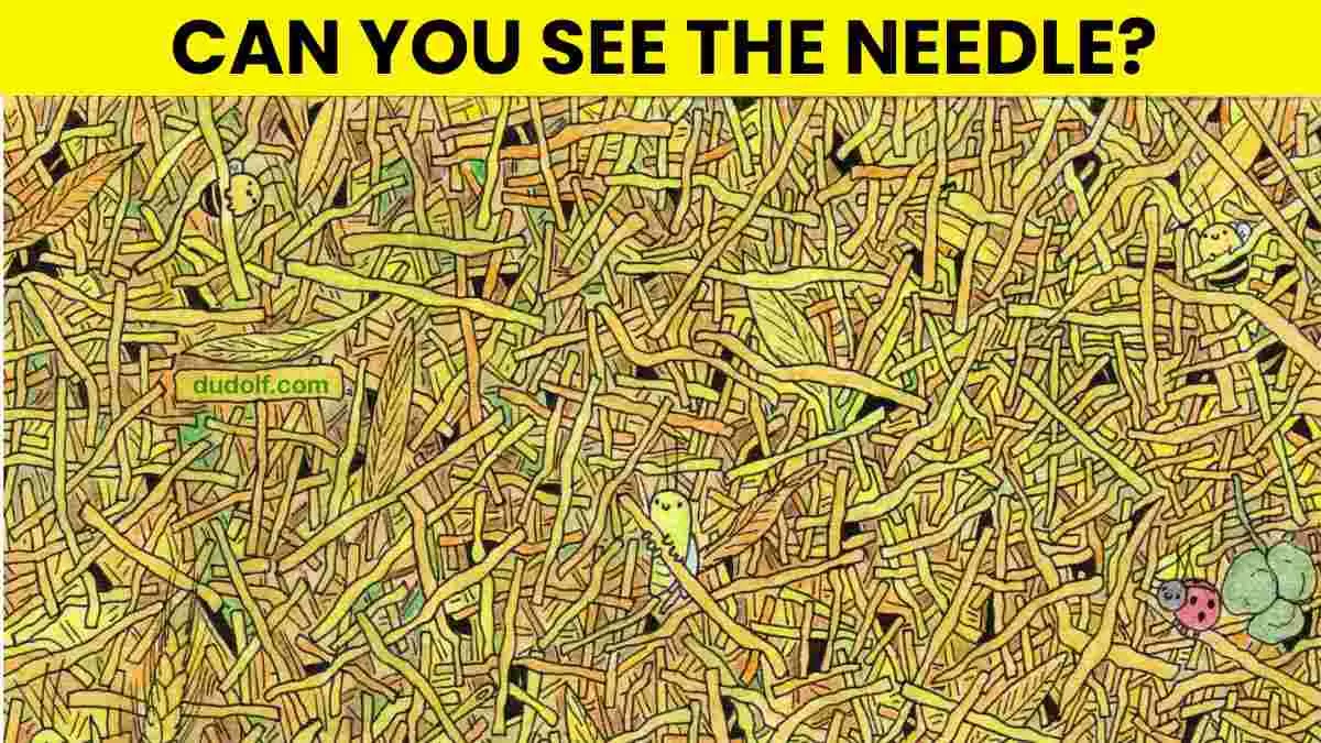 Spot the needle.
