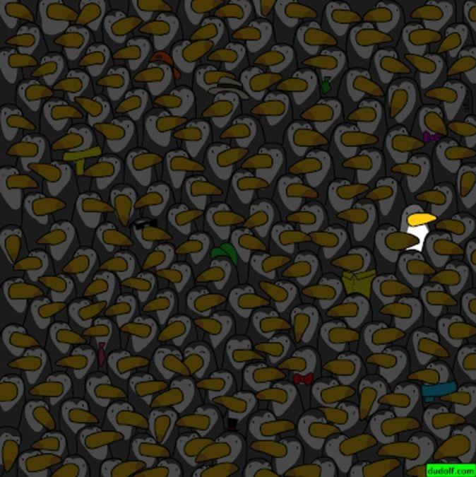 optical illusions with answers