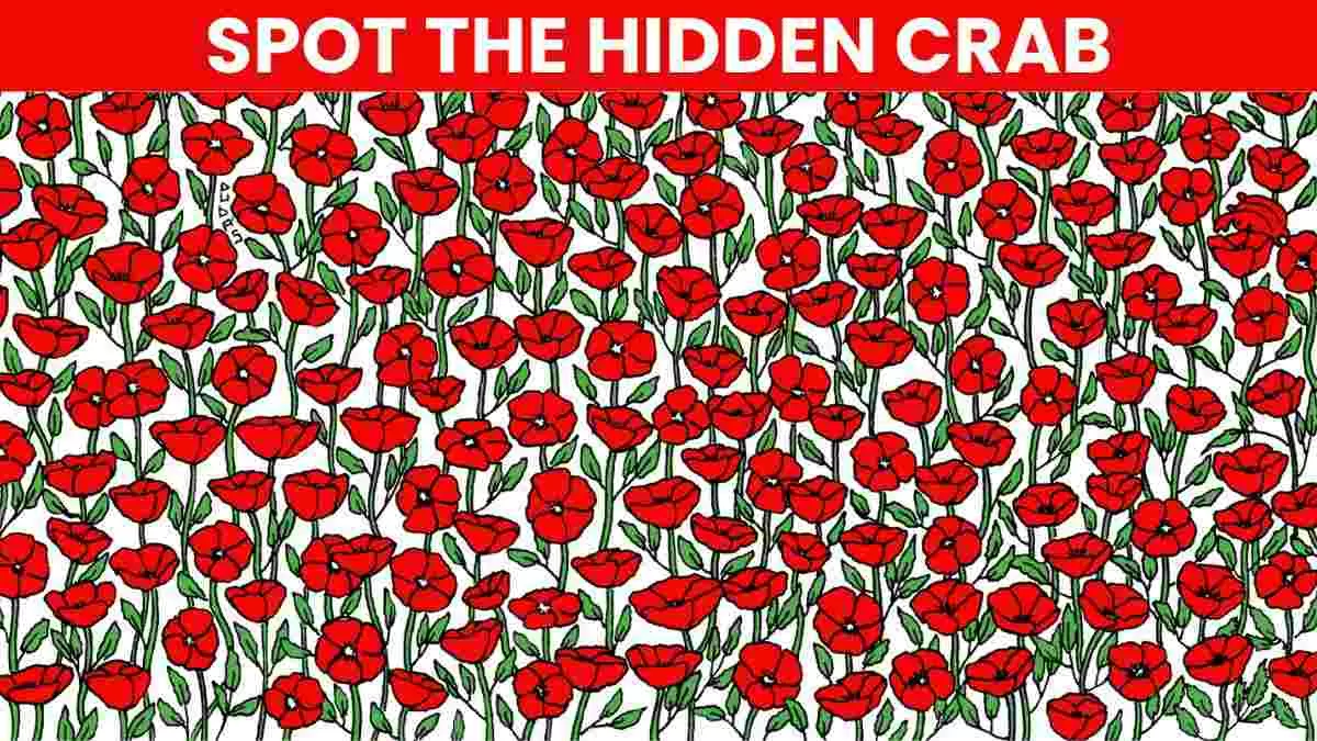 Spot the crab.