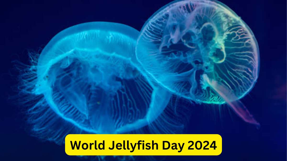 World Jellyfish Day 2024 Purpose, Interesting Facts, and Celebrations