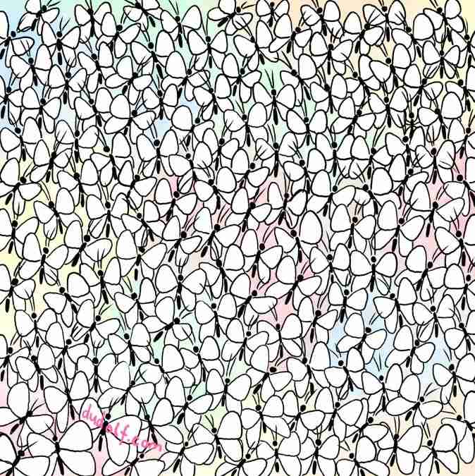 picture puzzles with answers