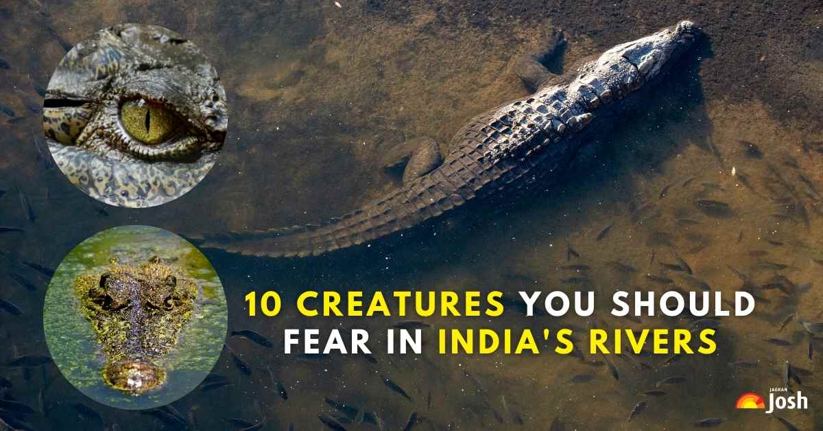 River Monsters of India: 10 Deadly Creatures Lurking Below