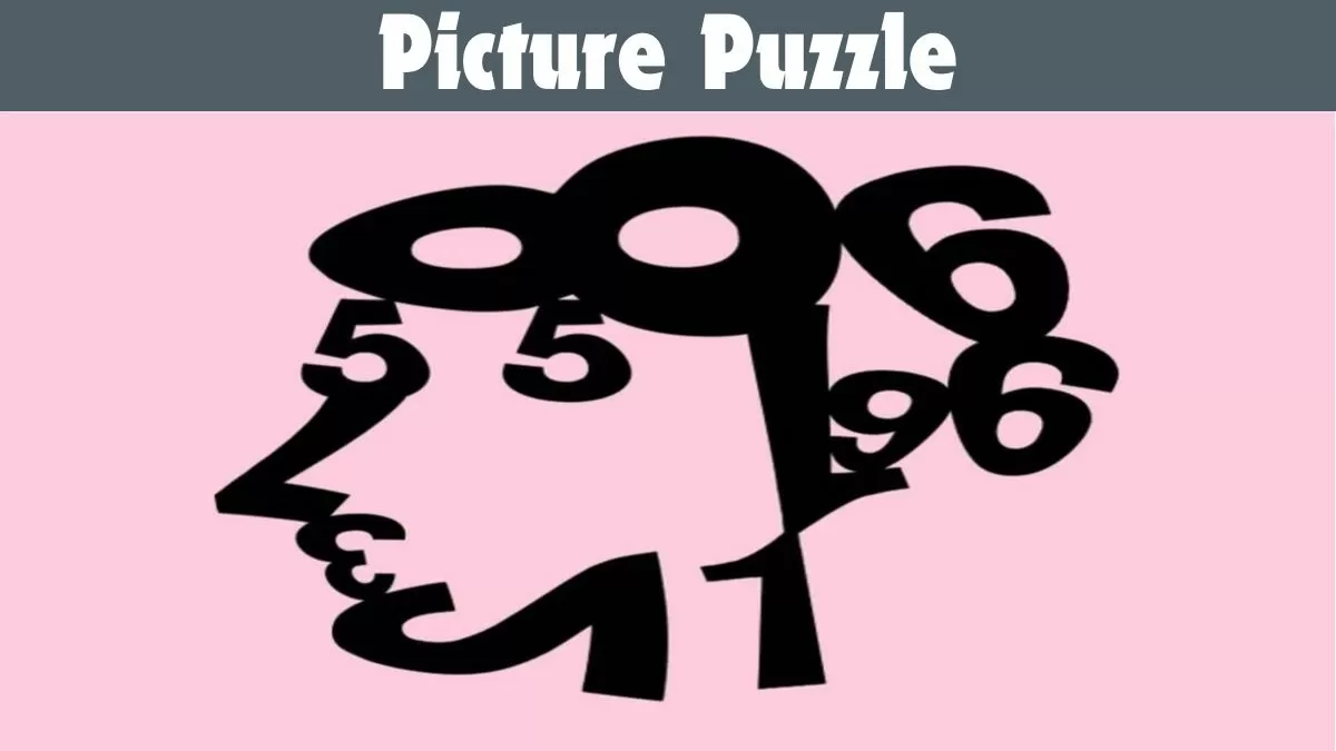 Picture Puzzle IQ Test: Find all numbers in 6 Seconds – Only for the Top 1% IQ!