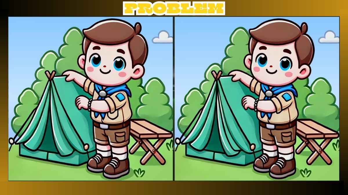 Find 3 Differences in Boy Scout Camping Pictures in Just 15 Seconds
