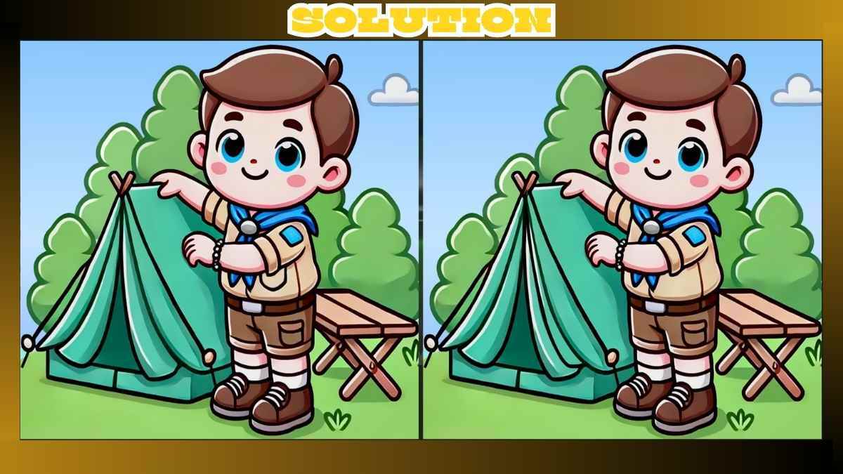 Find 3 Differences in Boy Scout Camping Pictures in Just 15 Seconds