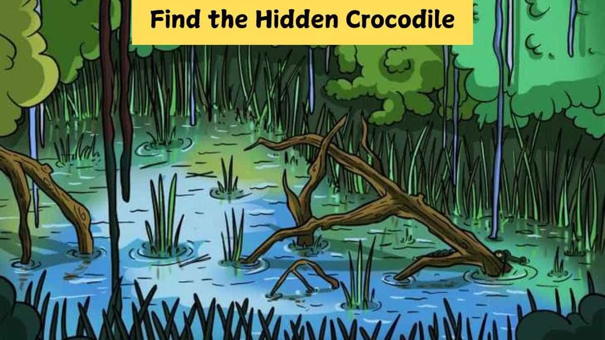 Picture Puzzle IQ Test - Find the hidden crocodile in the marsh in 7 seconds!