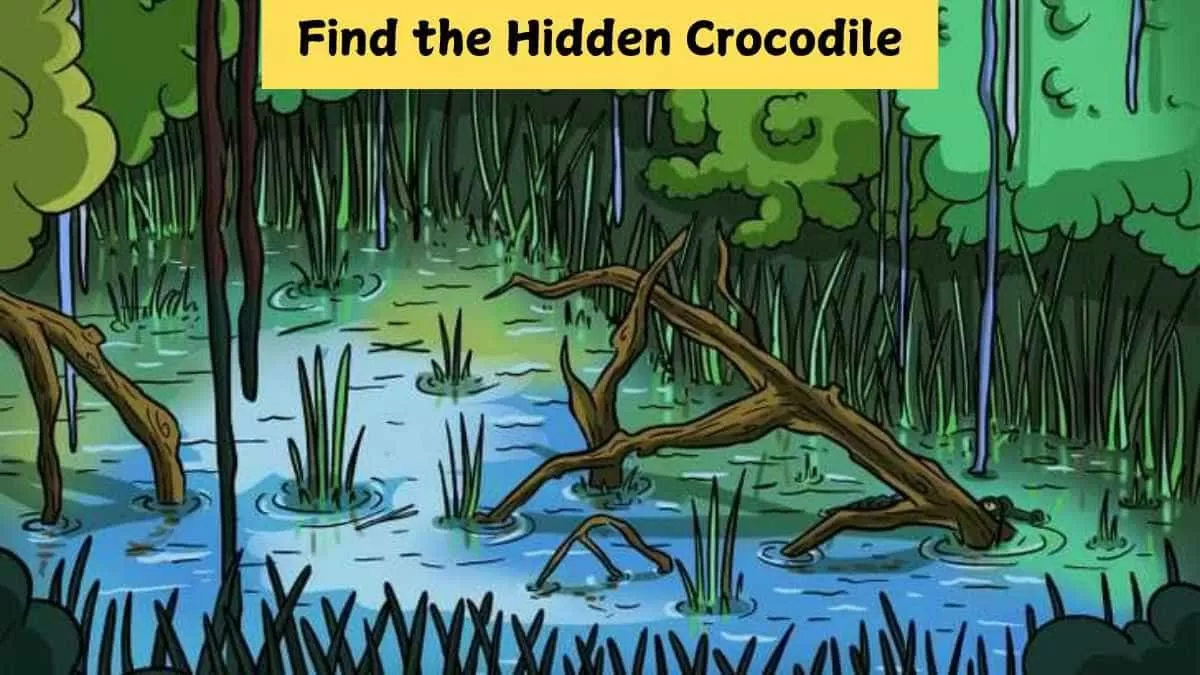 Find the hidden crocodile in 7 seconds!