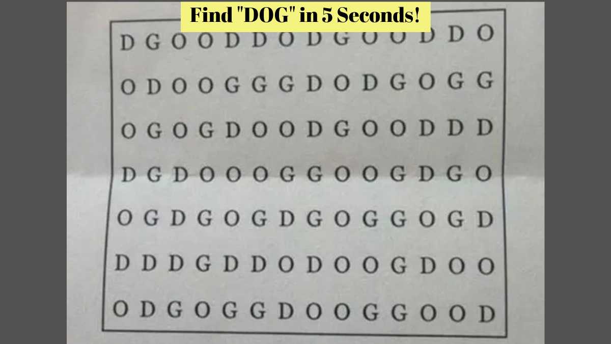 Only 1% of the Sharp Minds can Find the Word “DOG” in 5 Seconds! 