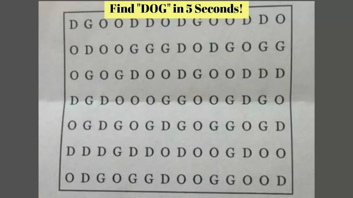 Find "DOG" in 5 seconds!