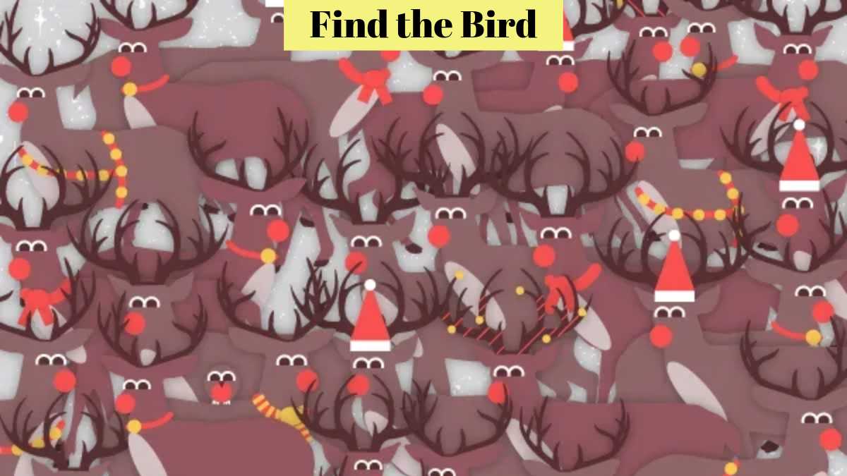 Optical Illusion IQ Test - Find the bird among the group of deer in 8 seconds! 