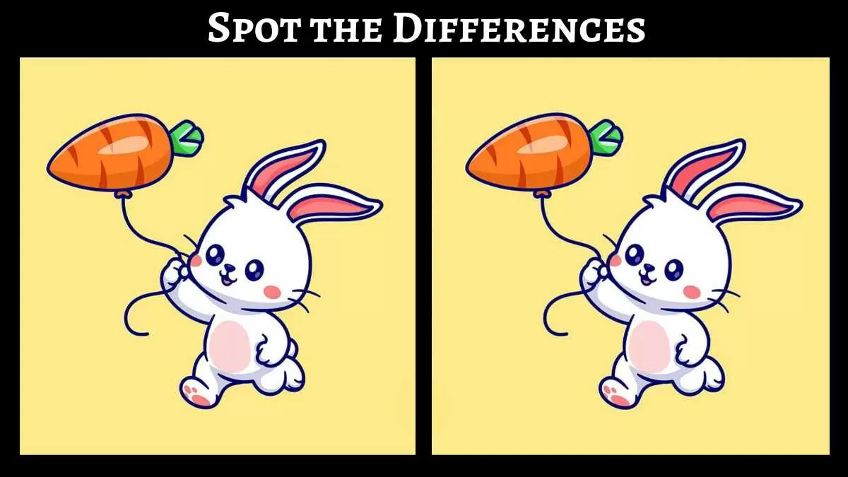 Spot 3 differences in just 21 seconds!