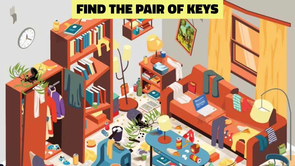 Find the pair of keys in 10 seconds!