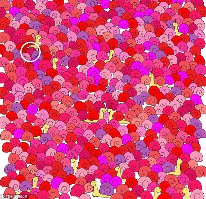 hidden optical illusions with answers