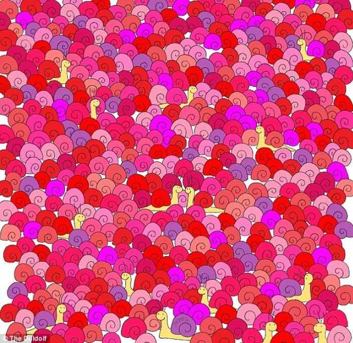 hidden optical illusions