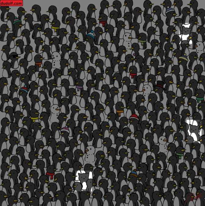 picture puzzles with answers