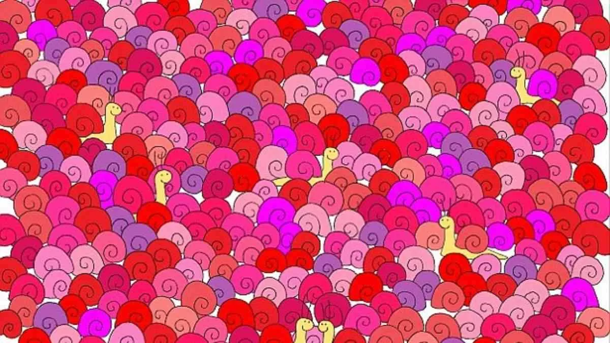 Spot the hidden heart.