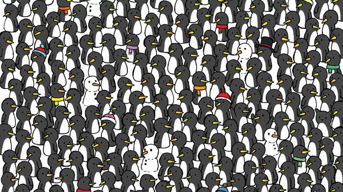 Spot three cats.