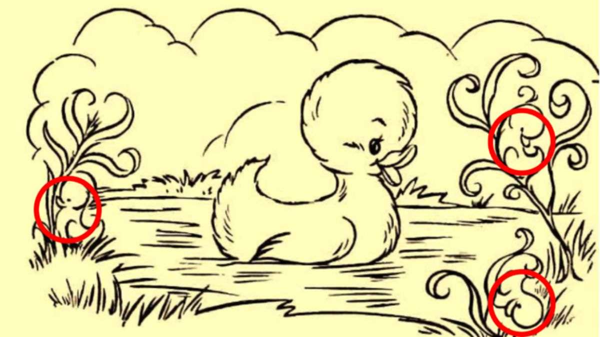 optical illusion pictures with hidden images