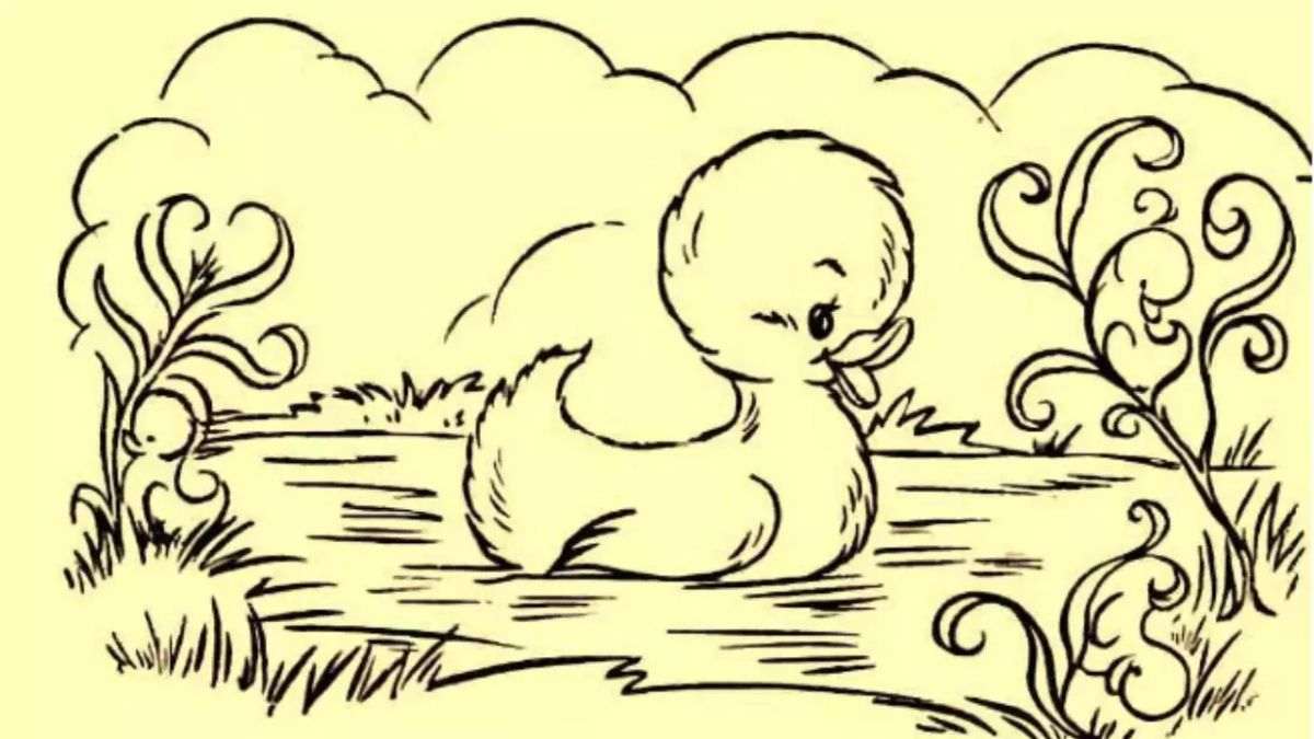 optical illusion pictures with hidden images