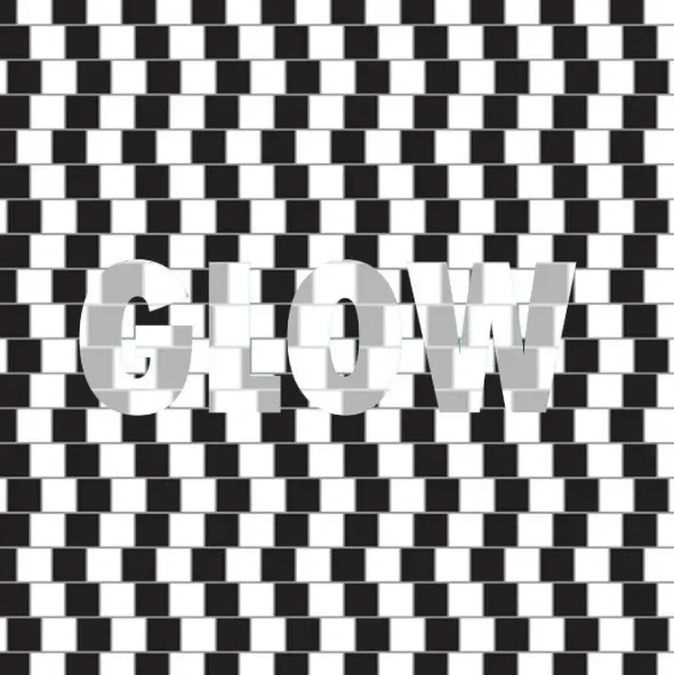 optical illusion pictures with hidden images