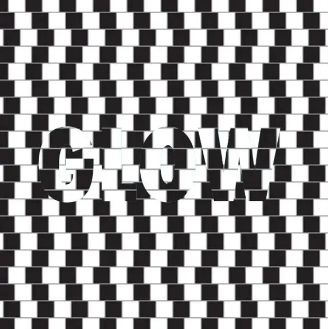 optical illusion pictures with hidden images