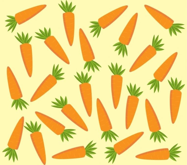 pictures puzzles with hidden images