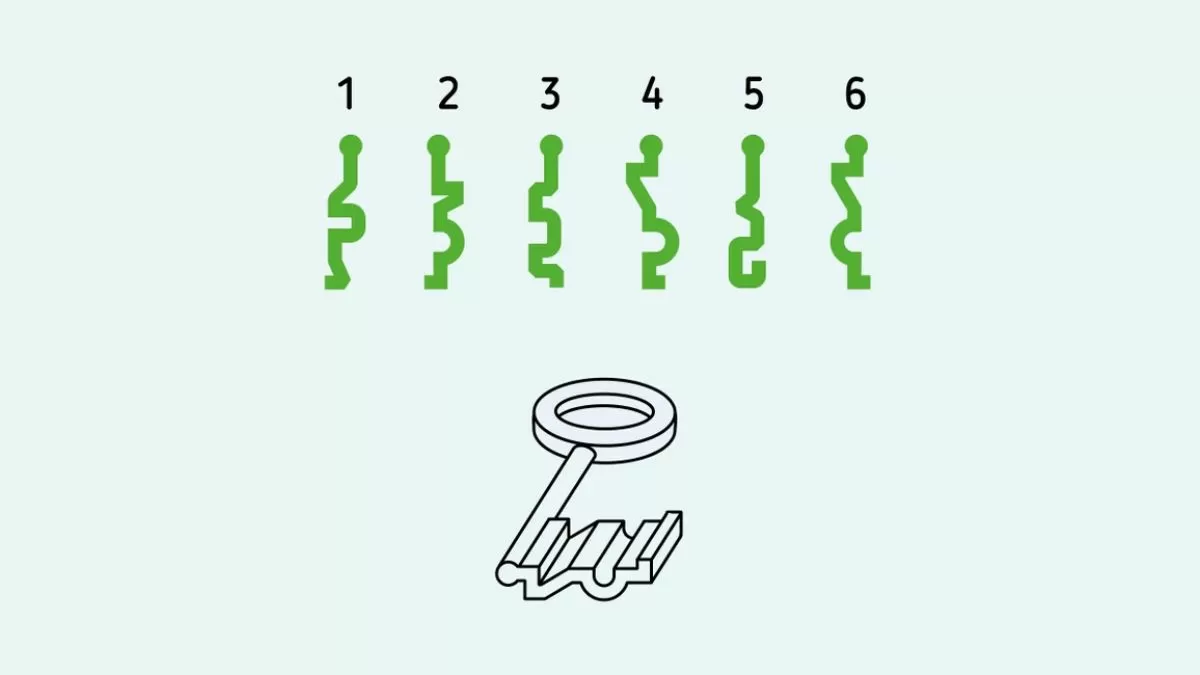 Match the key shape.