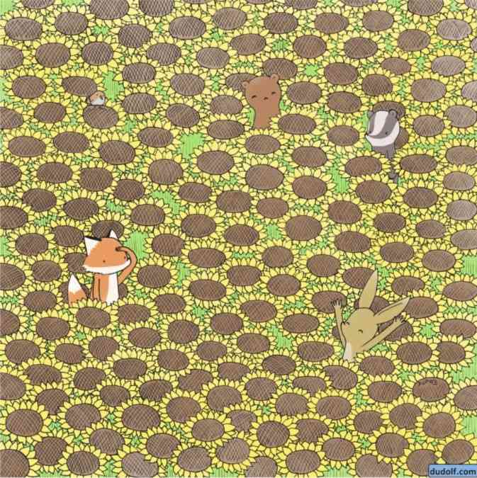 pictures puzzles with hidden images