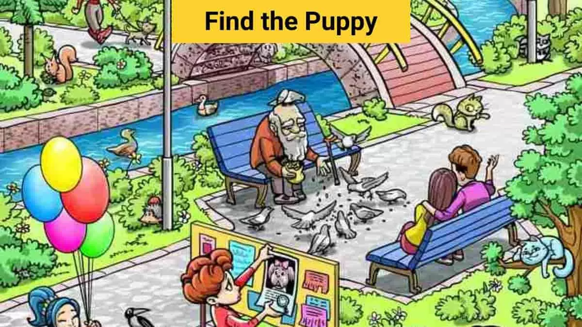 Find the puppy in the park