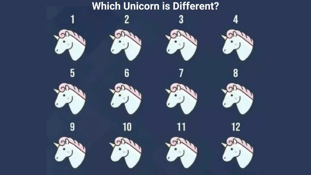 Find the odd unicorn