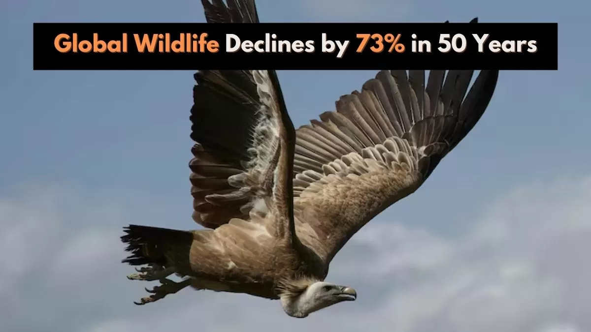 According to the report, the biggest concern is habitat loss and degradation.