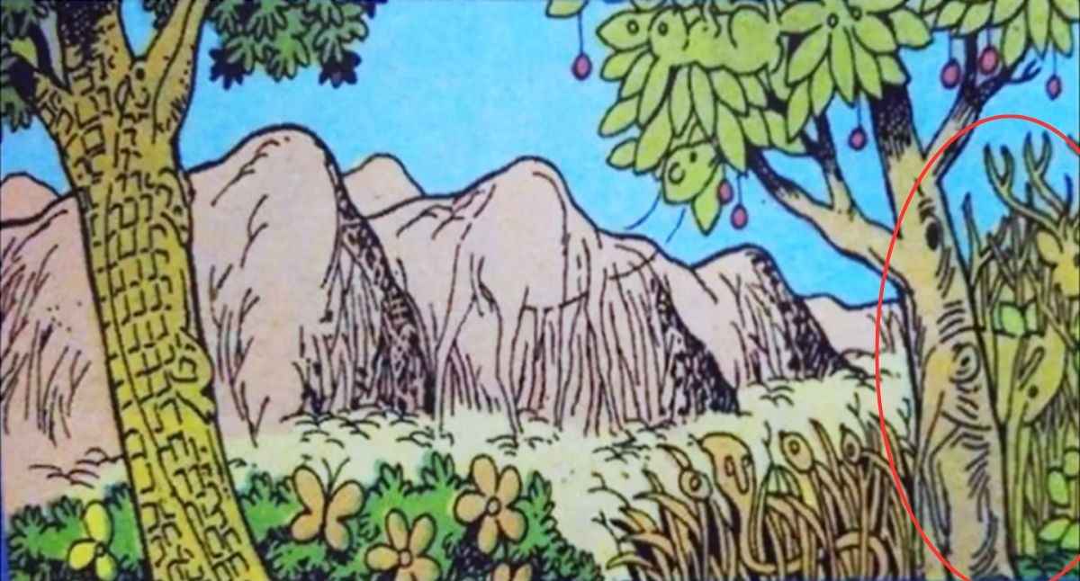 optical illusion pictures with hidden images