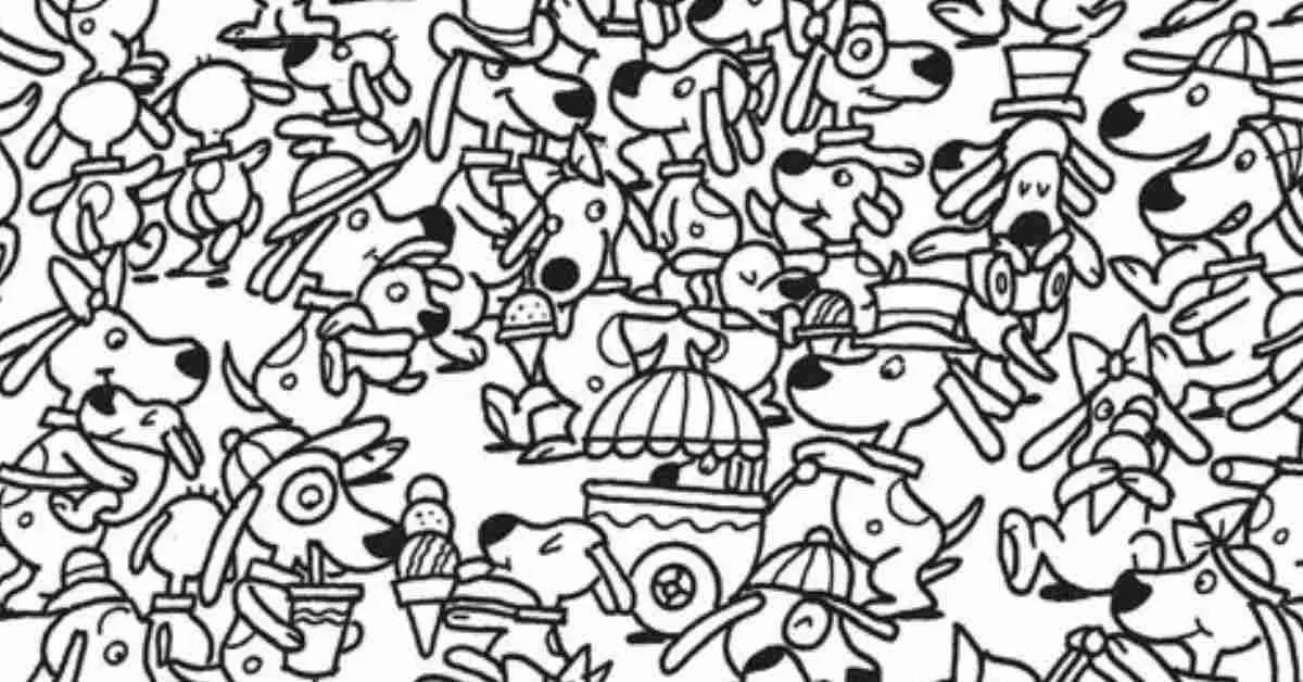 Find the Hidden Octopus