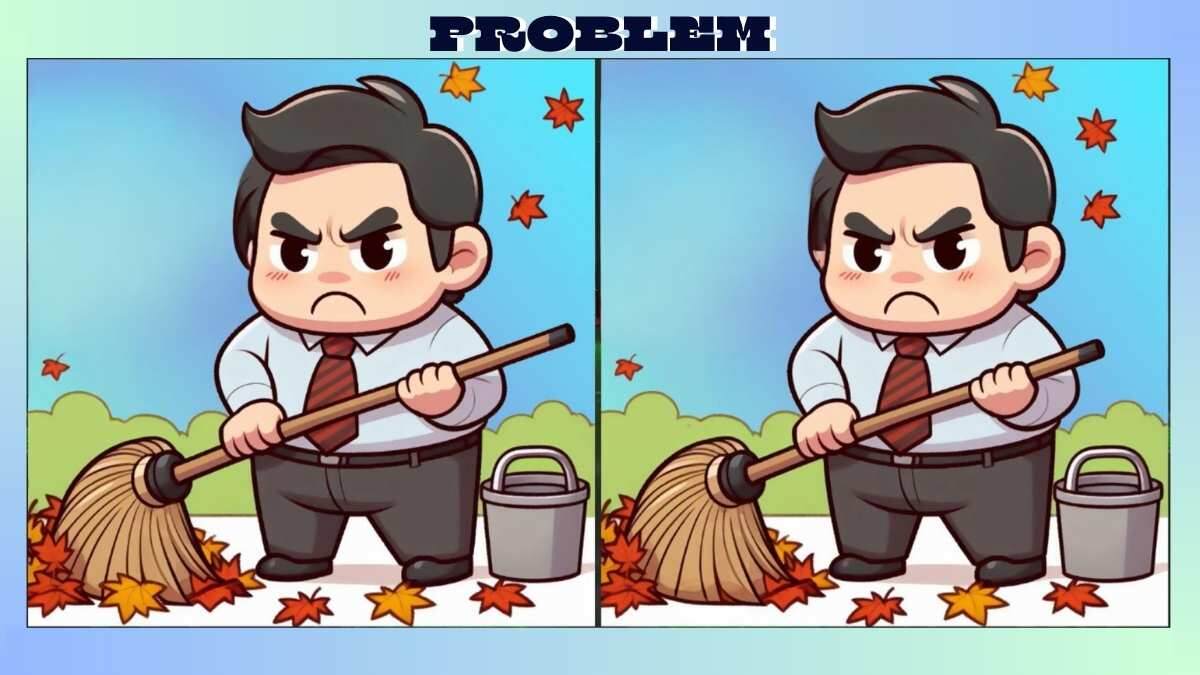 Find 3 Differences in 24 Seconds in Employee Cleaning Picture