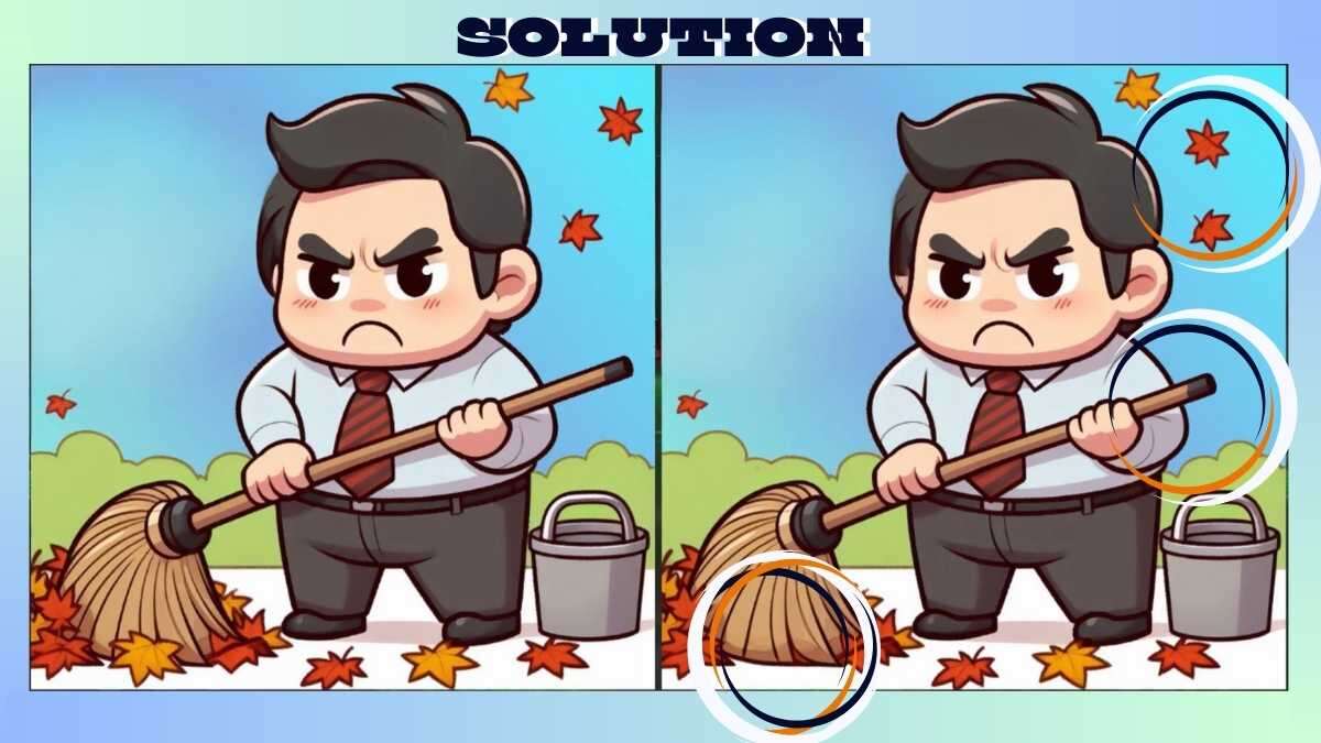 Find 3 Differences in 24 Seconds in Employee Cleaning Picture