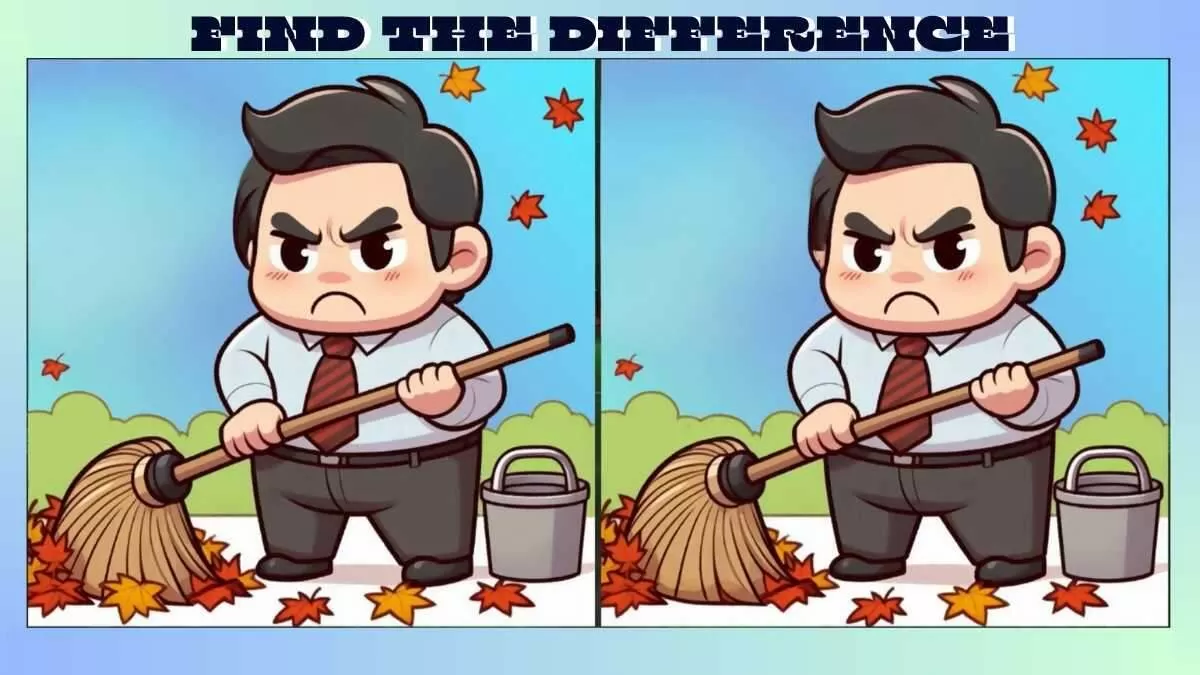 Find 3 Differences in 24 Seconds in Employee Cleaning Picture
