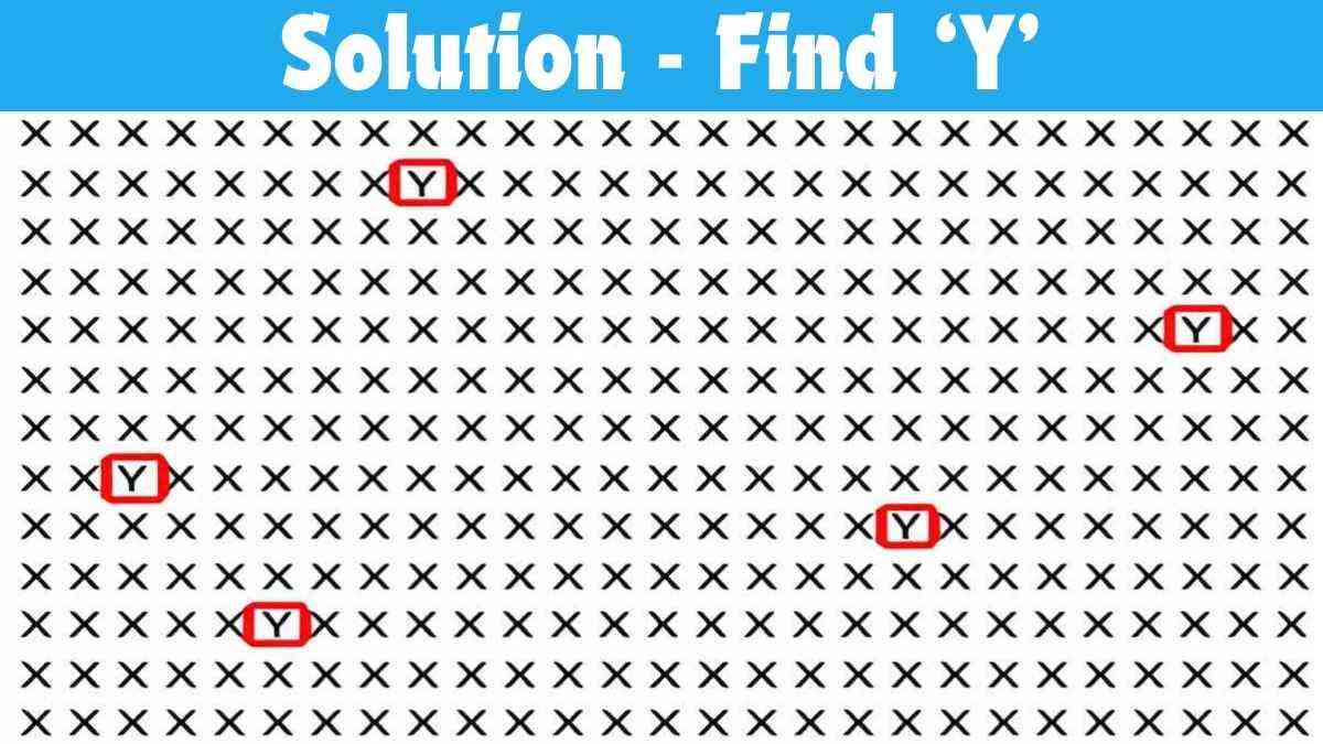 Picture Puzzle IQ Test: Spot the 5 Y’s in 5 Seconds!